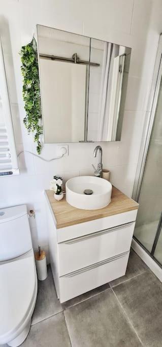 New #Boheme Chic# Pied De La Cite #2 Apartment Carcassonne Exterior foto