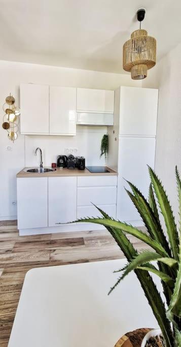 New #Boheme Chic# Pied De La Cite #2 Apartment Carcassonne Exterior foto